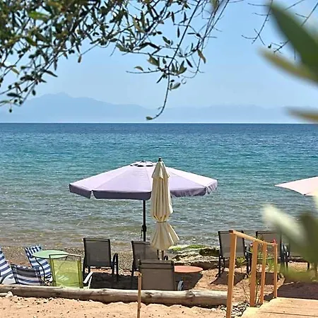 Otel Kassimiotis