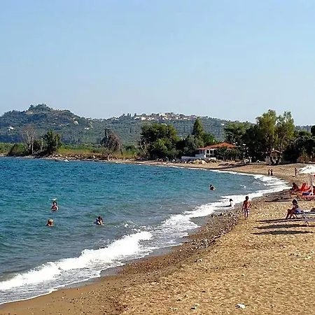 Kassimiotis