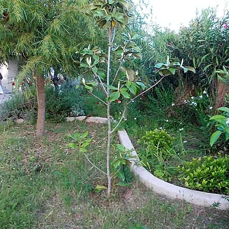 Kassimiotis Otel Longá