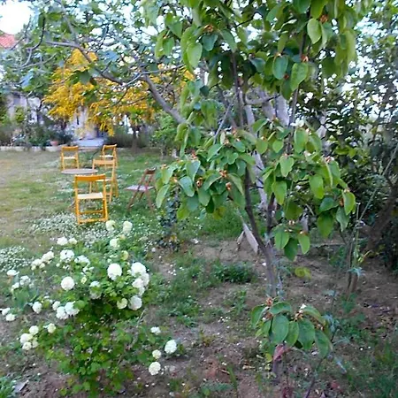 Kassimiotis Otel
